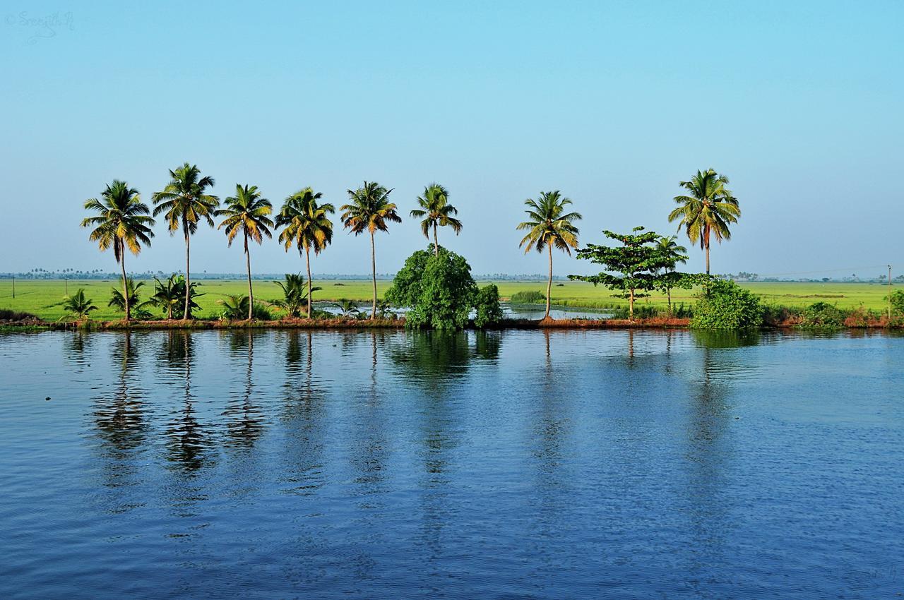 Marari Peterland Apartment Alappuzha Bilik gambar